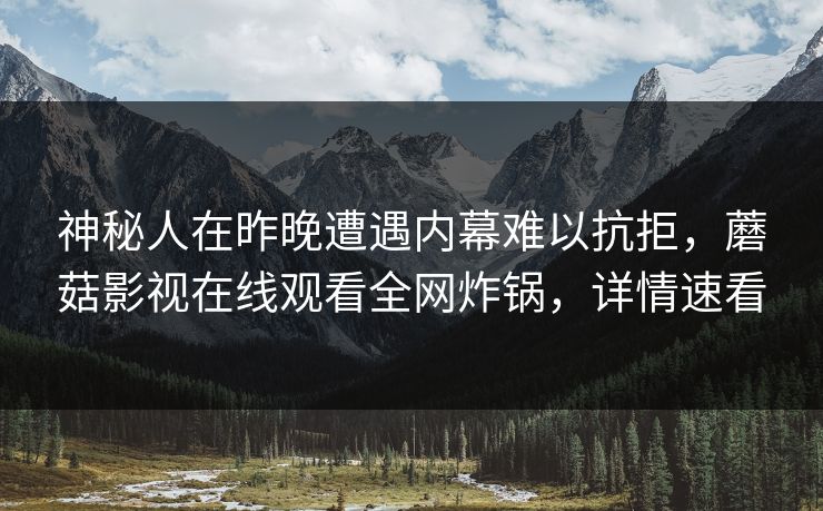 神秘人在昨晚遭遇内幕难以抗拒，蘑菇影视在线观看全网炸锅，详情速看