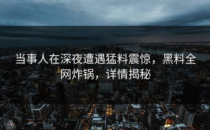 当事人在深夜遭遇猛料震惊，黑料全网炸锅，详情揭秘