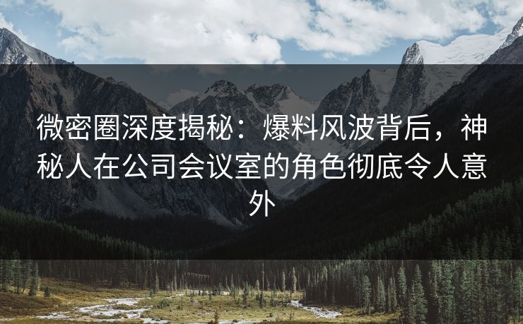微密圈深度揭秘：爆料风波背后，神秘人在公司会议室的角色彻底令人意外