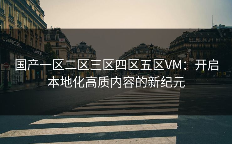 国产一区二区三区四区五区VM：开启本地化高质内容的新纪元