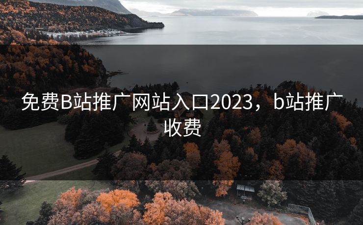 免费B站推广网站入口2023，b站推广收费