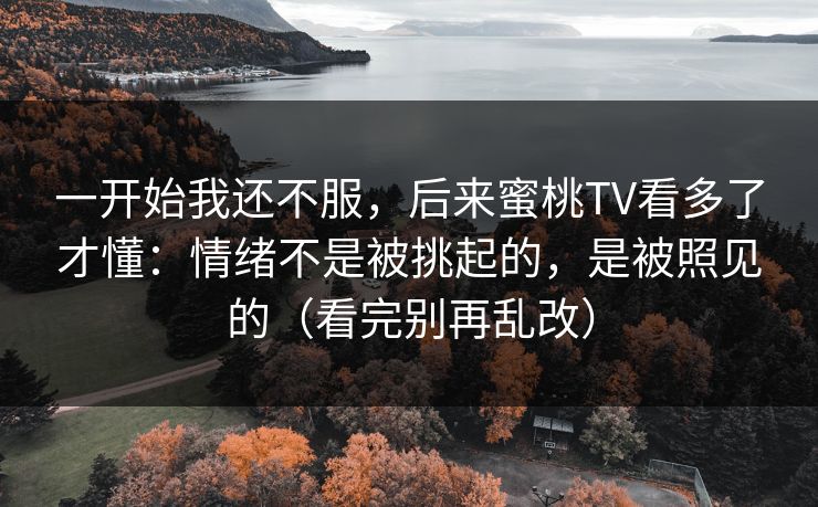 一开始我还不服，后来蜜桃TV看多了才懂：情绪不是被挑起的，是被照见的（看完别再乱改）